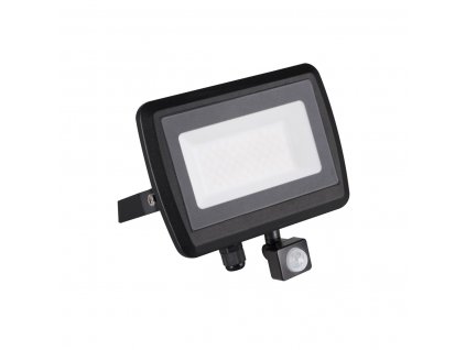 Venkovní LED nástěnný reflektor s čidlem ALERINO, 50W, denní bílá, černý, IP44