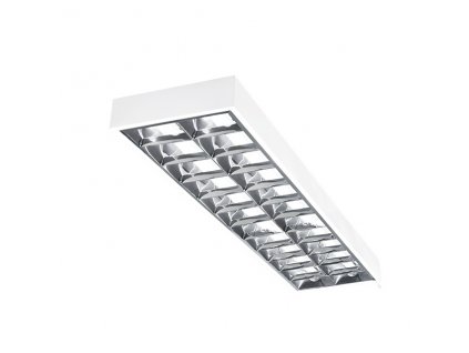 Stropní LED osvětlení do rastrového stropu NELO, 2xG13, 36W, 123x8x30cm, bílé