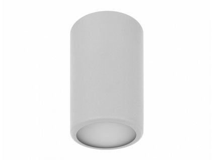 Přisazené stropní bodové osvětlení TUBE, 1xE27, 40W, kulaté, šedé