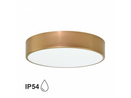 Přisazené stropní koupelnové osvětlení CLEO, 3xE27, 24W, 40cm, kulaté, zlaté, IP54