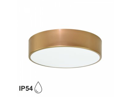 Přisazené stropní koupelnové osvětlení CLEO, 2xE27, 40W, 30cm, kulaté, zlaté, IP54