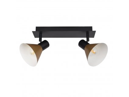 Nástěnné / stropní bodové osvětlení ALVARO, 2xE14, 40W, lampa, černozlaté