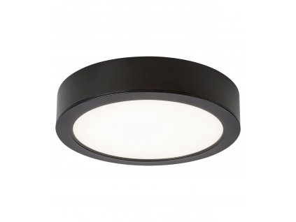 LED stropní koupelnové světlo SHAUN, 24W, denní bílá, 22cm, kulaté, černé