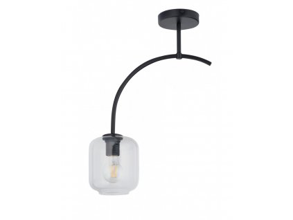 Přisazené moderní stropní osvětlení SHINE, 1xE27, 60W, černá/čirá