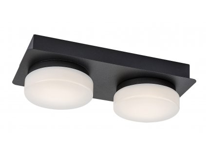 Koupelnové stropní LED svítidlo ATTICHUS, 11W, denní bílá, černé