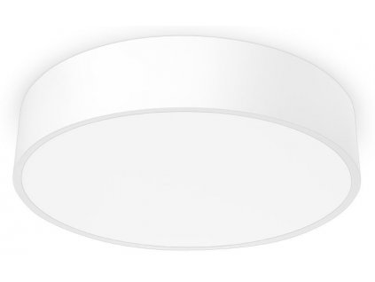 Stropní LED osvětlení RENY, 18W, teplá bílá, 25cm, kulaté, bílé