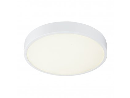 LED stropní přisazené svítidlo ARCHIMEDES, stmívatelné, denní bílá, 22cm, kulaté