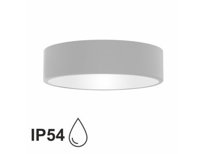 Prisadené stropné kúpeľňové osvetlenie CLEO, 2xE27, 40W, 30cm, okrúhle, šedé, IP54