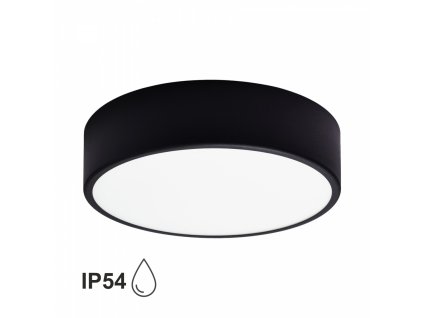 Prisadené stropné kúpeľňové osvetlenie CLEO, 2xE27, 40W, 30cm, okrúhle, čierne, IP54