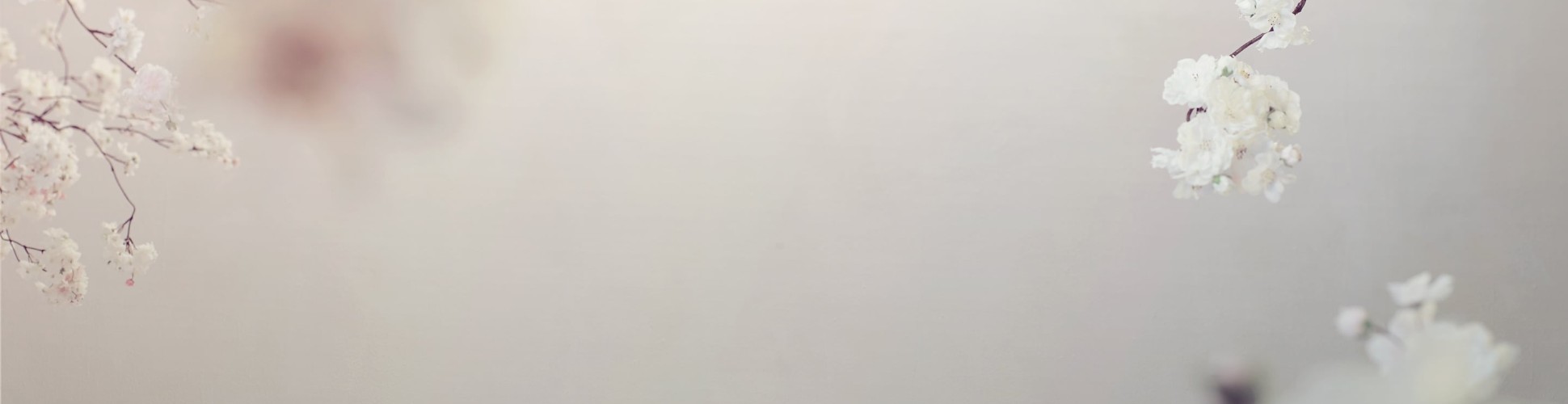 Prohlášení o přístupnosti