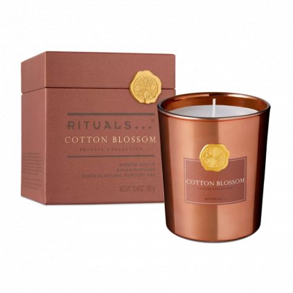 1113995 CottonBlossomScentedCandle PROBOX