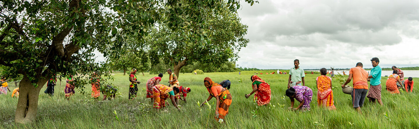 Seznamte se s indiánskými komunitami, které pomáhá rozvíjet náš slib pěstování stromů