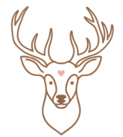 Mgr. Miroslava Jiráková MBA