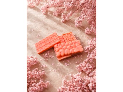 74574495 1804 4751 b930 f9d946e1ef2c