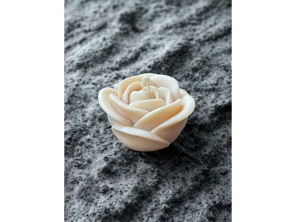 390668ad 2df7 4450 a309 0bbfcaa2cb34