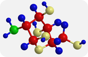 Sedm základních složek kloubní výživy RIVA-FLEX