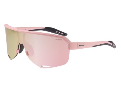 253483 r2 fluke at100a3