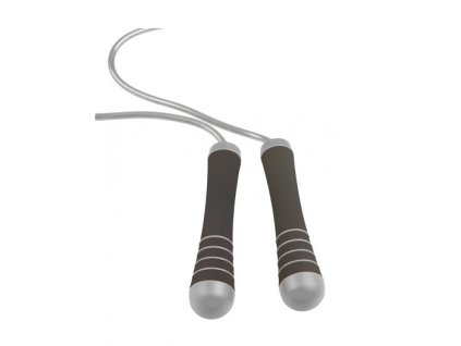 Screenshot 2025 12 11 at 12 09 43 Power System Zátěžové švihadlo Weighted Jump Rope