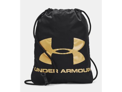 Snímek obrazovky 2026 01 29 152330