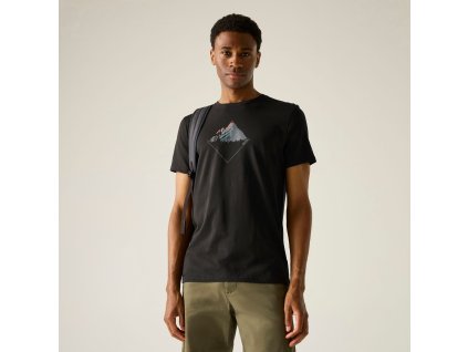 Web version RMT344 800 M 1