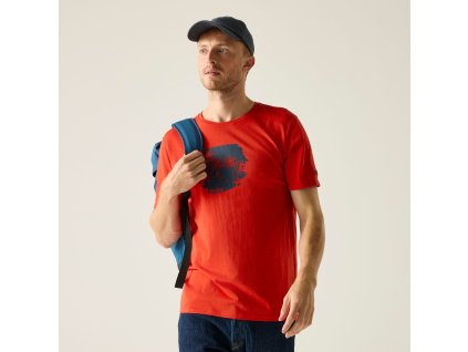 Web version RMT296 ZQZ M 1