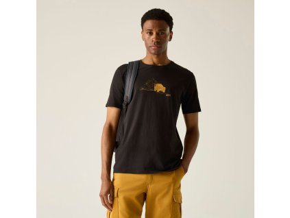 Web version RMT296 ZTC M 1