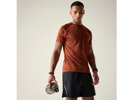 Web version DMT722 ZSY M 1