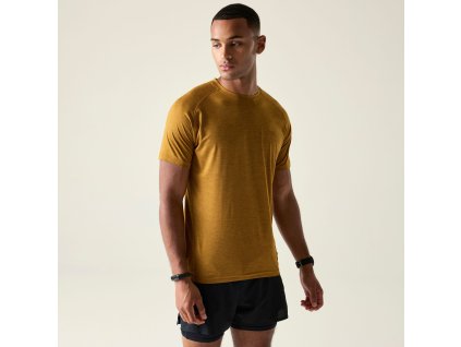 Web version DMT595 ZJ2 M 1