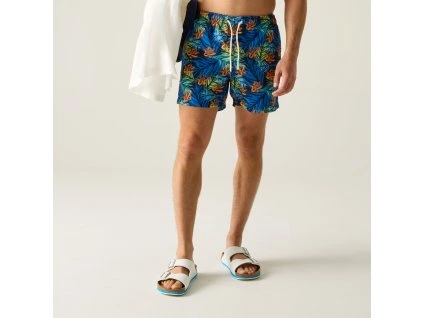 Web version RMM014 ZLF M 1