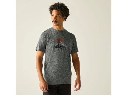 Web version RMT341 ZIT M 1