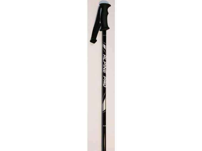 Juniorské lyžařské hole STUF  Alpin Pro  bílá/černá/stříbrná (délka v cm 100)