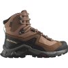 Salomon QUEST element gtx w Mocha Mousse/Pe L47157700