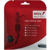 msv focus hex 12 m black 1