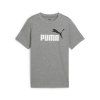 PUM 685778 pum 685778 03 image front