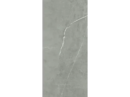 spc silver vein