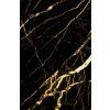PVC mramorový panel – Black Gold