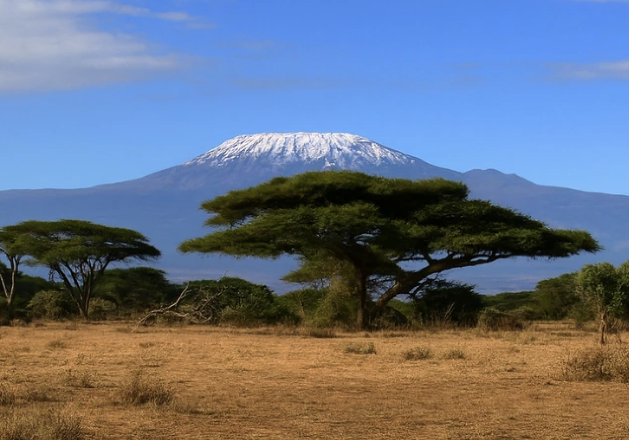 Tajemství ukryté pod Kilimandžárem