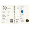 113 CERT GGTL