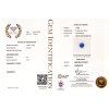 CERT 385