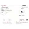 JS66 CERT AIG