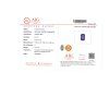 JS22 CERT AIG
