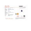 JS23 CERT AIG