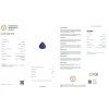 JS23 CERT IGI