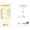 CERT 1027 GUILD