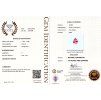 CERT 1037 GGTL