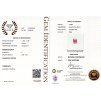 CERT 1073 GGTL