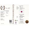 CERT 1074 GGTL