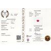 CERT 1080 GGTL