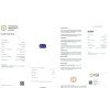 JS24 CERT IGI