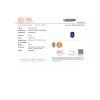 JS25 CERT AIG